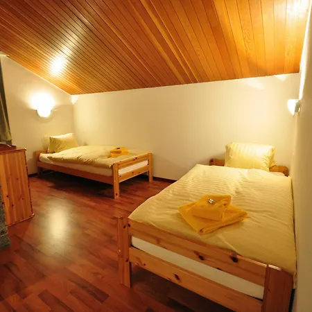 Haus Viktoria B - Nina شقة زيرمات