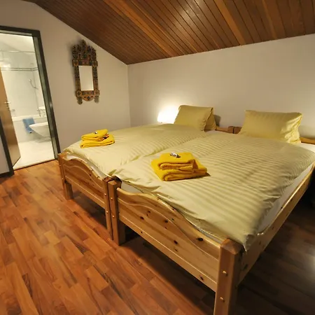 Haus Viktoria B - Nina شقة زيرمات